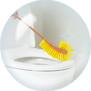 Bathroom Cleaning