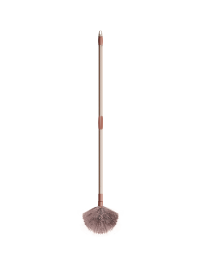 Globe Ceiling Brush