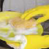 Strong and Flexible Bristles