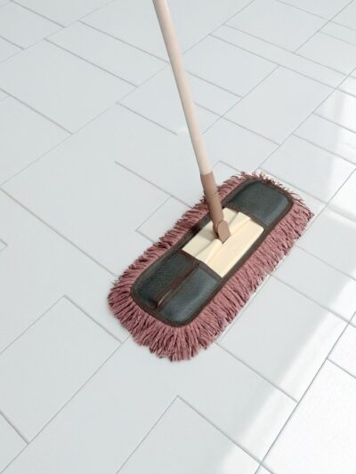Dry Floor mop 18 Inches